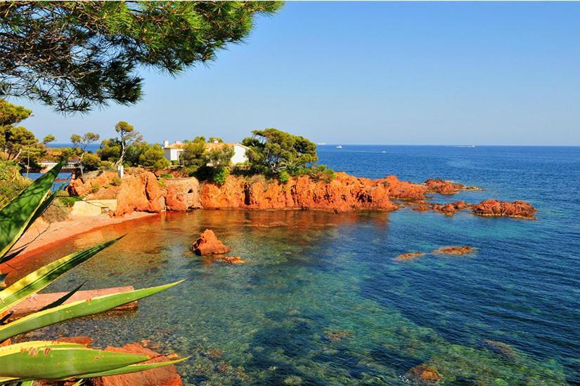 La Bastide Saint Pierre T2 - Jardin Lägenhet Roquebrune-sur Argens Exteriör bild