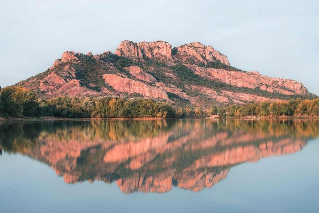 La Bastide Saint Pierre T2 - Jardin Lägenhet Roquebrune-sur Argens Exteriör bild
